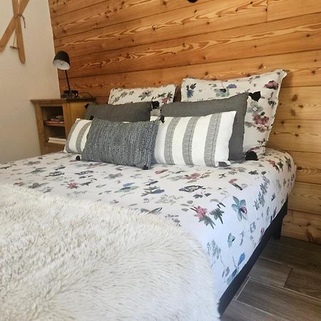 Studio A 100 Metres Du Depart Des Pistes De Ski La Salle-les-Alpes Exteriér fotografie